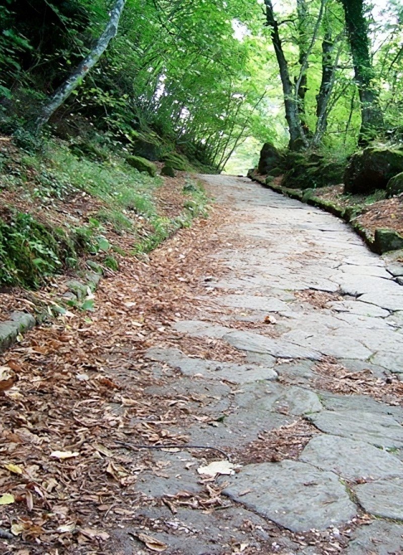 Posizione del Ristorante la Foresta