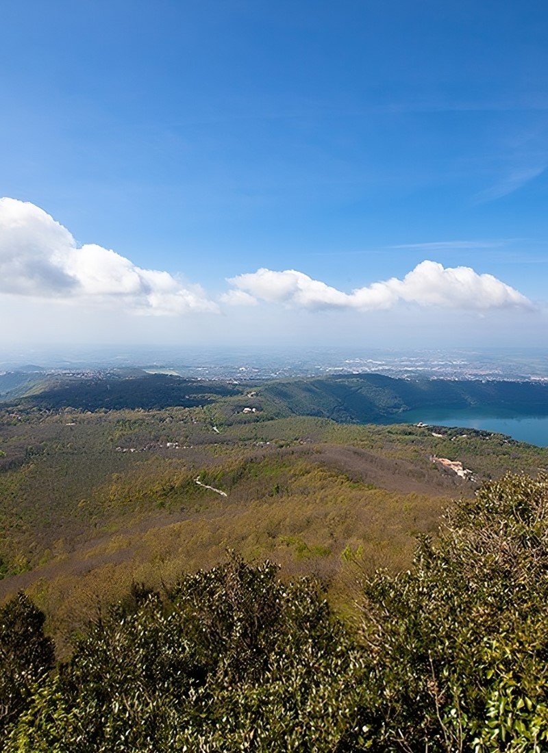 Posizione del Ristorante la Foresta
