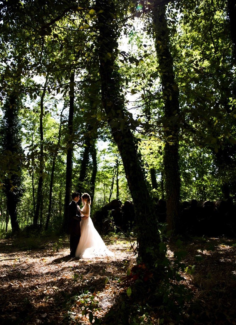 Location Eventi nel Bosco